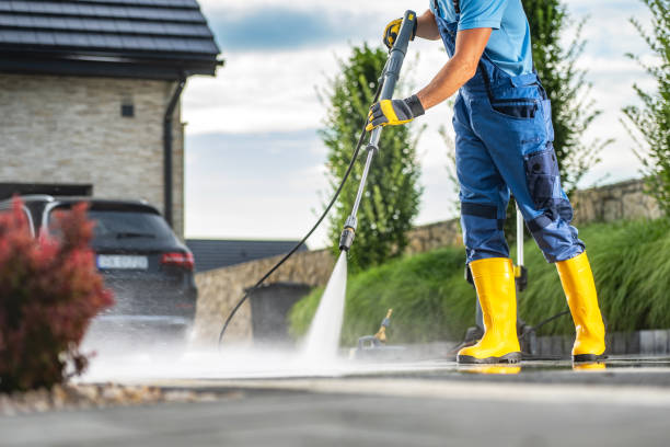 Best Solar Panel Cleaning  in New Union, TN